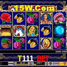 Tecnologia da Plataforma T111 Bet